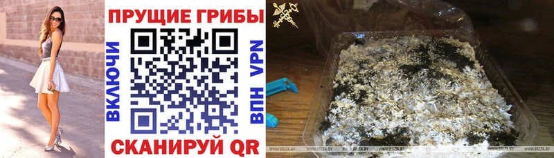 Псилоцибиновые грибы MAGIC MUSHROOMS  ОМГ ОМГ зеркало  Биробиджан 